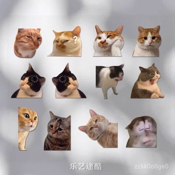 好價在🛒可愛搞笑迷因MEME貓貓咪驚訝錶情猴子寵物車貼筆記本多用防水貼紙 VPJX