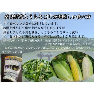 ふるさと納税 富良野市 選りすぐり北海道富良野産「贅沢セットB」赤肉メロン1玉とホワイトコーン4本詰め合わせ