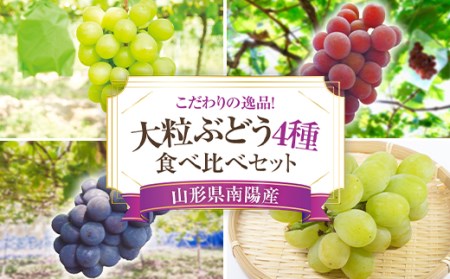  大粒ぶどう4種食べ比べセット おまかせ4房《令和6年9月上旬～発送》 『うえ木ぶどう園』 ぶどう 果物 フルーツ デザート 食べ比べ 山形県 南陽市 [675]