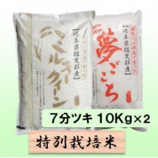 特別栽培米 20kg(ミルキークイーン 夢ごこち)