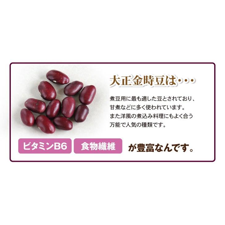 金時豆　送料無料  約１ｋｇ（970ｇ） 北海道産　2023年産 メール便