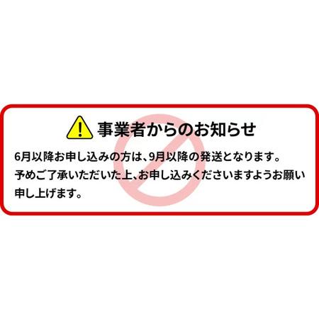 ふるさと納税 北川鰻の白焼きセット　N010-ZC217 宮崎県延岡市