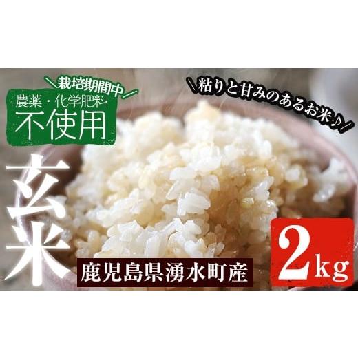 ふるさと納税 鹿児島県 湧水町 y174 鹿児島県産玄米2kg＜栽培期間中農薬化学肥料不使用＞粘りのある甘みのあるお米！