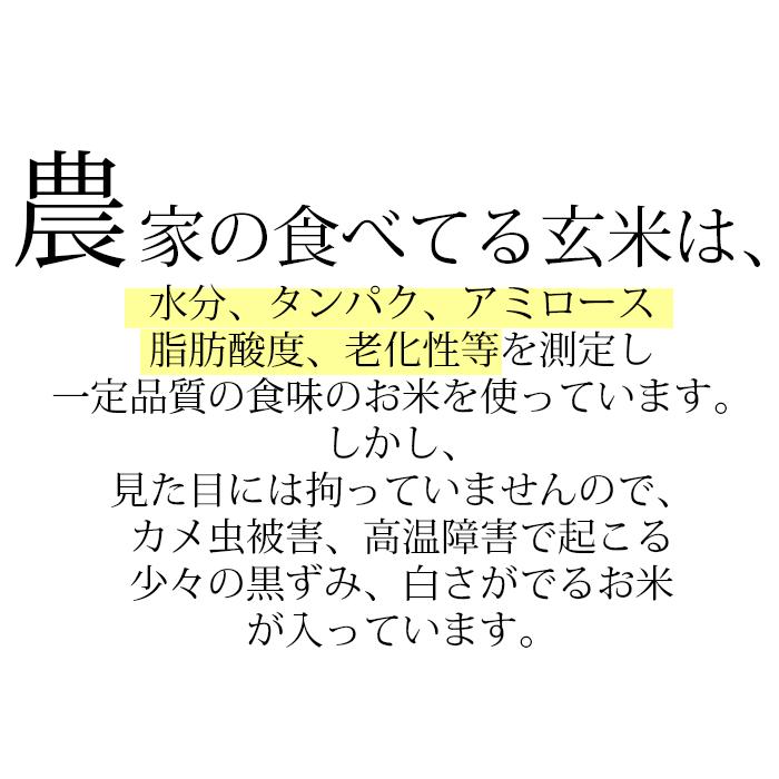 新米 米 玄米食 調整済 5年産 農家の食べているおいしい玄米10kg （5kg×2袋 小分け）オリジナル