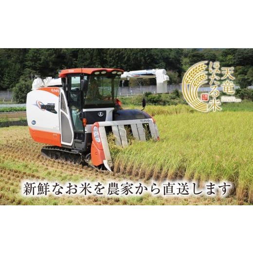 ふるさと納税 長野県 辰野町 辰野産ミルキークイーン「天竜ほたる米」10キロを農家から直送♪　９月中旬新米発送！！数量限定！