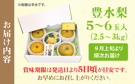 しづちゃんが作る 豊水梨 5～6玉入（2.5～3kg）農業歴70年以上！  なし 果物 旬 フルーツ 甘い ジューシー 果汁 くだもの シャキシャキ 人気 完熟 もぎたて みずみずしい 越前梨 送料無料 福井 あわら市 ※2024年9月上旬より順次お届け