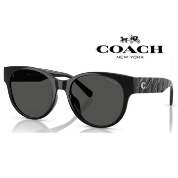 COACH 亞洲版 時尚太陽眼鏡 典雅立體菱格紋鏡臂設計 HC8430D 500287 黑框深灰鏡片 公司貨