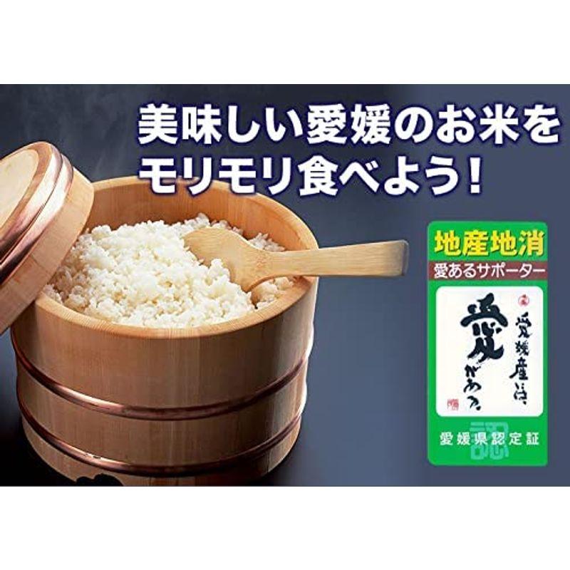 西日本 愛媛県産 白米 もりもりごはん10kg 10kg 2袋 20kg