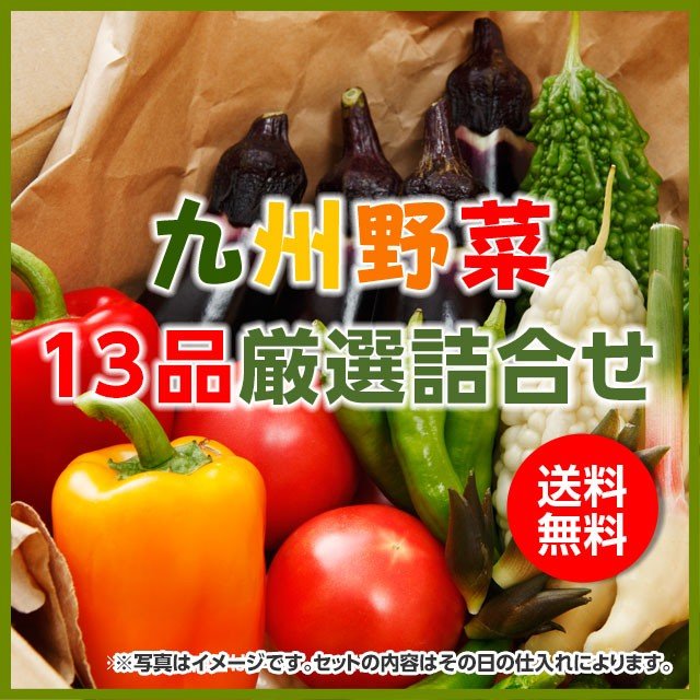 九州産旬の野菜15品セット　送料無料＋フルーツ２個サービス