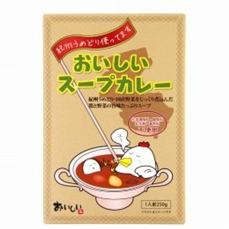 創健社 おいしいスープカレー 250g×24個