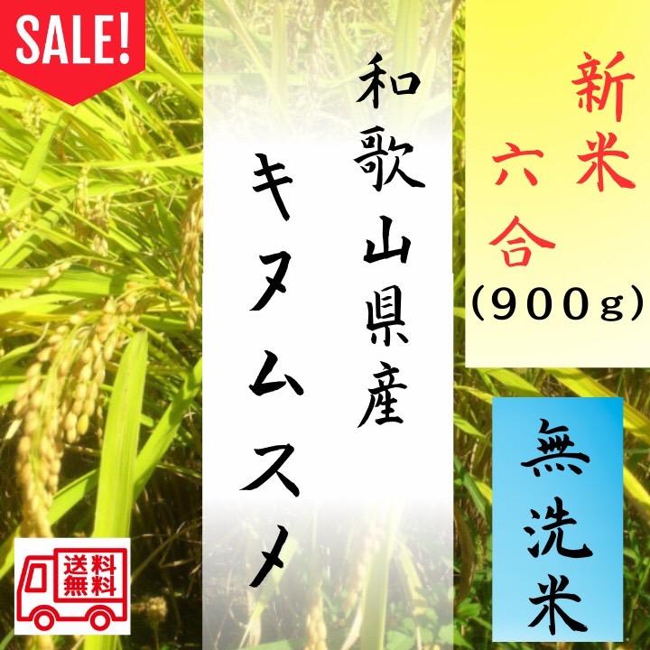 初売りSALE 令和4年 6合分900g キヌムスメ 和歌山県産 お米 精米 ごはん ご飯 米 白米