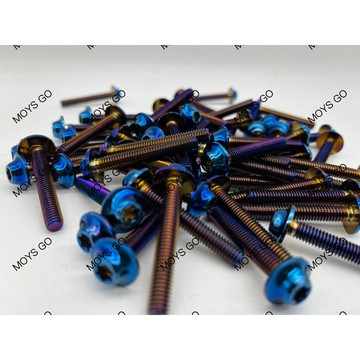 MOYS NG 飛碟頭 鍍鈦螺絲 M6 M5 鍍鈦 白鐵螺絲