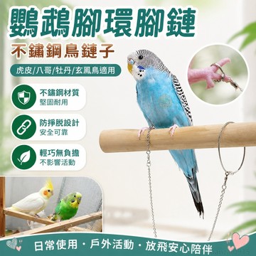 省錢鋪寵物】 昭杭鸚鵡腳環腳鏈不銹鋼鳥鏈子虎皮八哥牡丹玄鳳鳥放飛繩站架鳥鏈 出貨 鸚鵡站台 鸚鵡站棍 鸚鵡站架