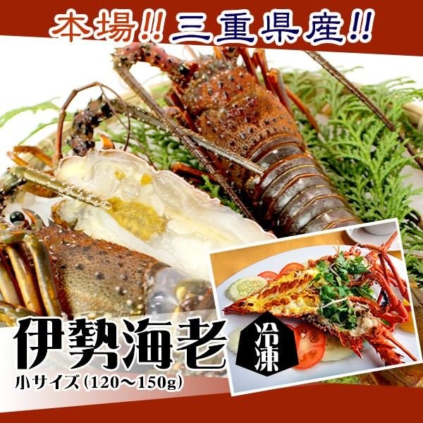 伊勢海老　冷凍（加熱用）　小（120～150ｇ）　　[魚介類]　（活〆冷凍）