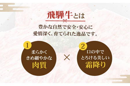 飛騨牛 A5ランク サーロインステーキ 400g×2枚 国産 和牛 牛肉 焼肉 お取り寄せ   [MBE020]