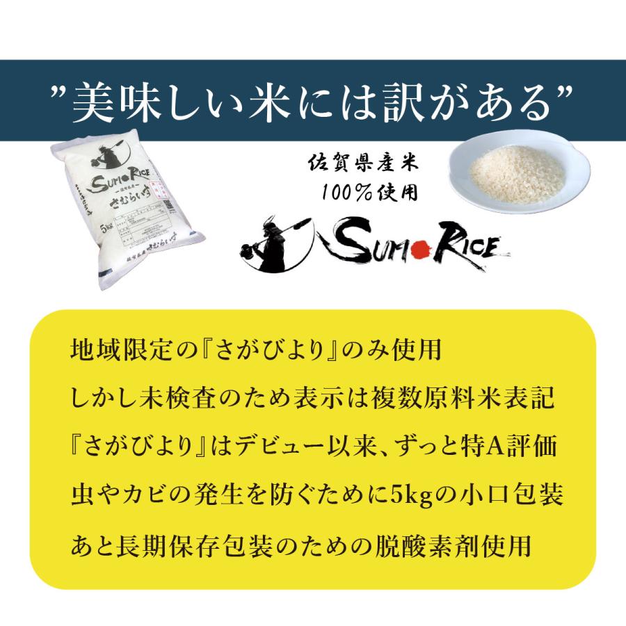 お米　１０kg　さむらいす　送料無料　国内産　精米　白米　生活応援米　農家直送