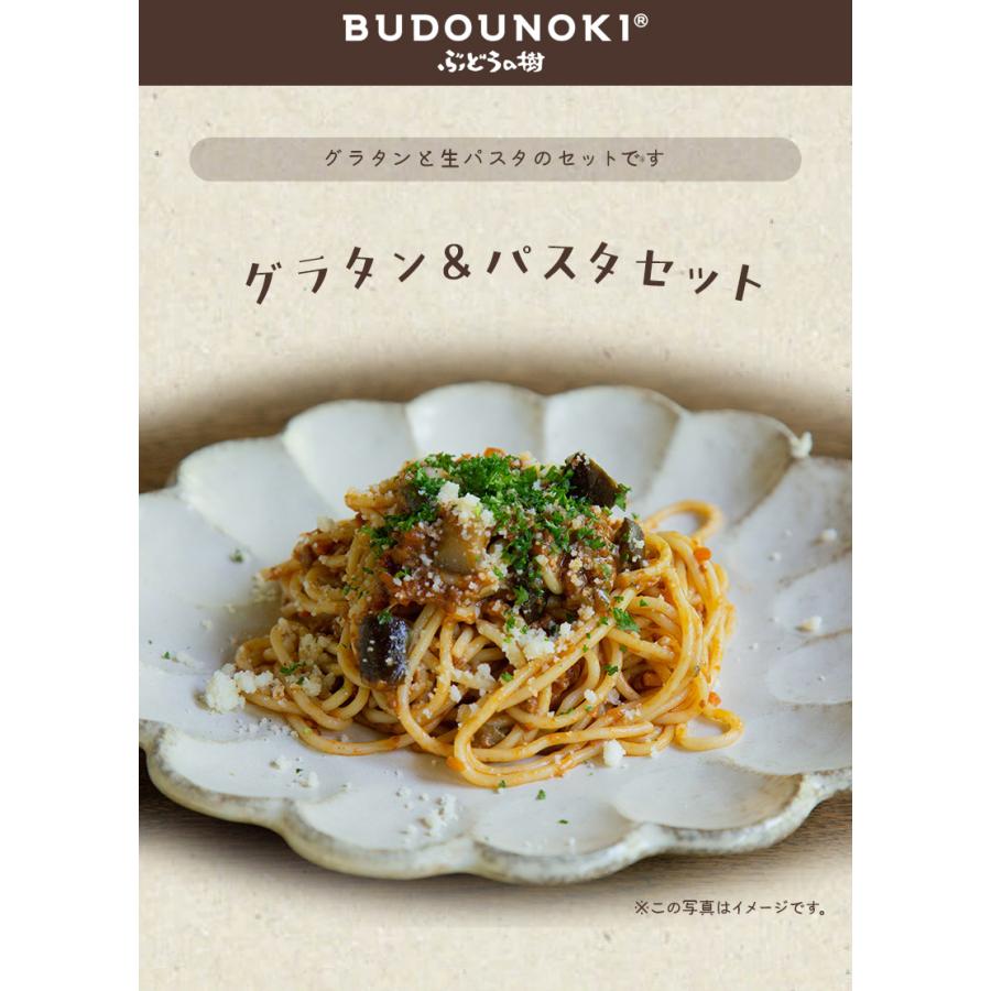 ぶどうの樹　グラタン＆パスタセット   送料無料 グラタン パスタ    お歳暮 御歳暮 冬ギフト（北海道・沖縄別途送料）