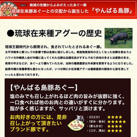 あぐー豚 ロース しゃぶしゃぶ 10袋 各100g 個包装