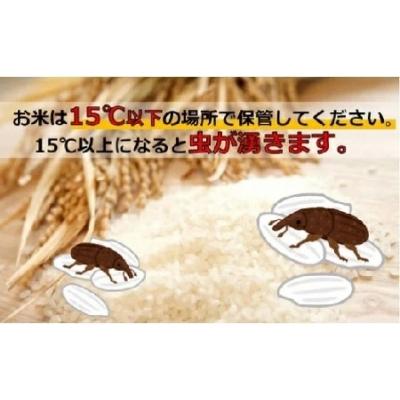 ふるさと納税 境町 茨城県産こしひかり 20kg(10kg×2袋)白米 JA茨城むつみ