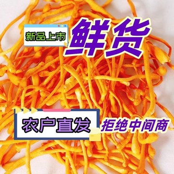 ✨新品嘗鮮 新品 蟲草花 乾貨 煲湯材料 蟲草花乾貨特級野生孢子頭北金蛹正品無硫新鮮野生煲湯食材料