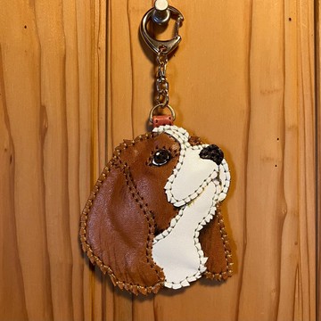 抬頭望的騎士查理王小獵犬