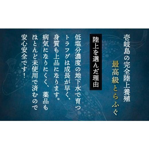 ふるさと納税 長崎県 壱岐市 とらふぐ刺し＆ふぐ鍋セット （2人前） ふぐ 刺身 てっさ ふぐ鍋 定期便 [JDT067] 38000 38000円