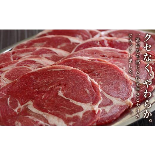 ふるさと納税 北海道 千歳市 千歳ラム工房 生ラムジンギスカン 1.2kgたれ付き ラム肉 羊肉 北海道 ≪肉の山本≫