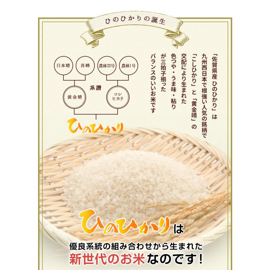 新米　5年産　佐賀県白米20kg(5kg×4袋)ひのひかり お米 米 佐賀県産