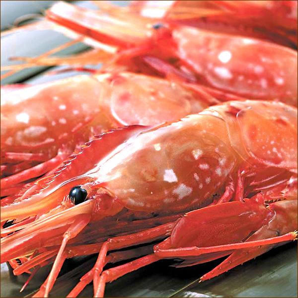 特大 ボタンエビ 1kg (BL オス 21-23尾入り 生冷凍) エビ 海老 お歳暮 ギフト 贈り物 プレゼント お祝 お礼 北海道 グルメ 送料無料 お取り寄せ