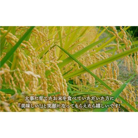 ふるさと納税 令和5年産 新米 さがびより 白米 5kg特A評価 特A 特A米 米 お米 佐賀 [HBL003] 佐賀県江北町