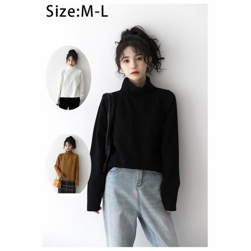 カットソー レディース ハイネック タートルネック Tシャツ レディーストップス 秋 冬 長袖 トップス あったか インナー 通販 Lineポイント最大0 5 Get Lineショッピング