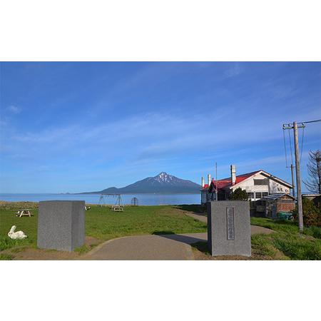 ふるさと納税 北海道 礼文島産 採れたて キタムラサキウニ 塩水パック 100g×1 生うに 生ウニ  塩水うに 北海道礼文町