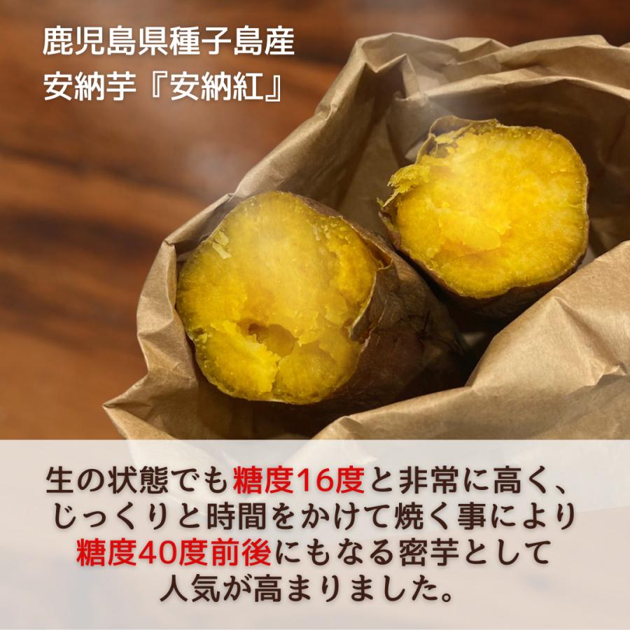 安納芋 箱込5kg S〜Lサイズ 安納紅 鹿児島県種子島産 送料無料 蜜芋 生芋 安納いも さつまいも