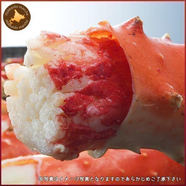 カニ 蟹 カニセット タラバガニ 足 1.6kg（800g×2肩） ズワイガニ 足 800g 蟹メガ盛りセット 福袋 年末年始 お正月