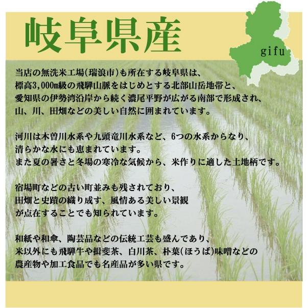 ポイント5倍 数量限定 新米 無洗米 5kg×2 ミルキークイーン 岐阜県産 10kg 令和5年産 送料無料（SL）