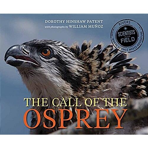 Call of the Osprey (Hardcover)