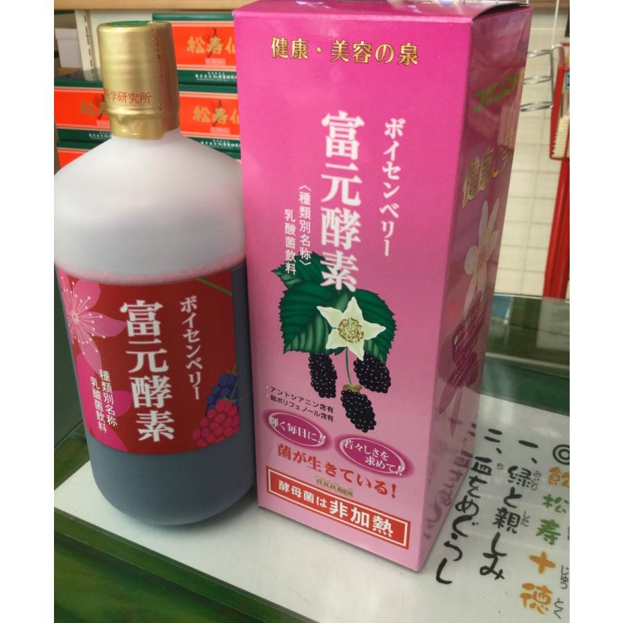 魅力の 松葉入り富元酵素 1000ml（酵素科学） | enas.org