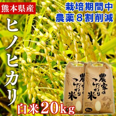 ふるさと納税 あさぎり町 熊本県あさぎり町産ヒノヒカリ　白米10kg×2袋　栽培期間中農薬8割削減