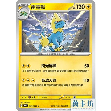萬卡坊 / 寶可夢 PTCG 中文版 M5 023 雷電獸 普卡