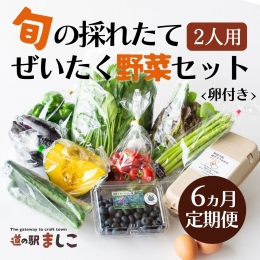 AA003＜6か月定期便＞旬の採れたて贅沢な野菜セット（卵付き）2人用