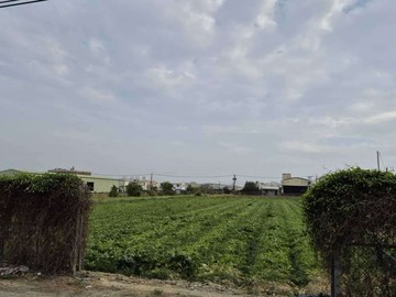 梓官/都內農業區/近市區梓官國中優質農地｜高雄市梓官區梓義段