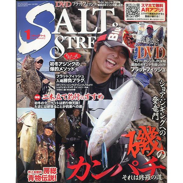 SALTSTREAM（ソルト＆ストリーム）　２０１４年１月号　　＜送料無料＞