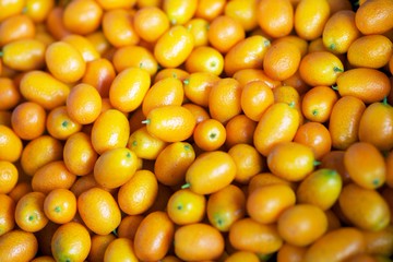 農遊超市 - 宜蘭 | 宜富金棗果園-採金棗 (250元採果通用券(適用全台37家以上農場果園))-單人採果券