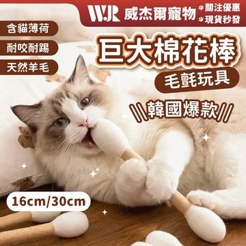 【威杰爾】巨大棉花棒 寵物玩具 貓咪棉花棒 逗貓棒 貓草玩具 貓咪玩具 逗貓玩具 羊毛氈棉花棒 貓玩具【G155】
