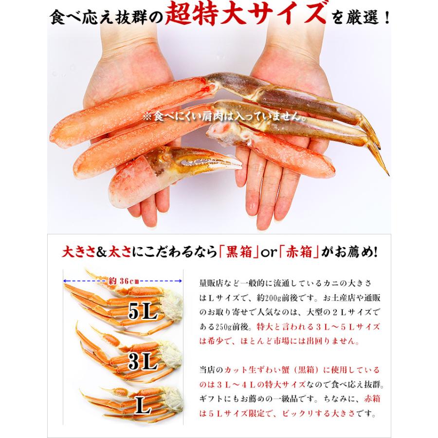 かに カニ 蟹 超特大＆超極太5Lサイズ厳選 カット生ずわい蟹 赤箱 1kg 約4人前 肩肉なし お刺身 送料無料 ズワイガニ ポーション プレゼント FF