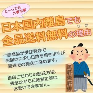 佃煮 生姜 おかず しょうがの佃煮 2袋入  送料無料 ポイント消化