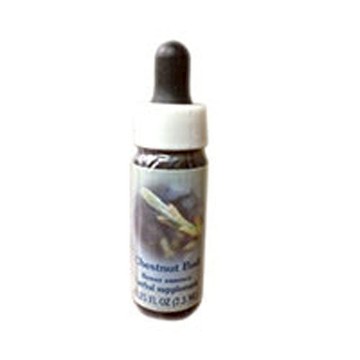 Chestnut Bud Dropper 1 oz by Flower Essence Services