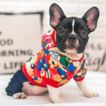 現貨+預購 寵物衣秋冬狗狗衣服-舒適休閒保暖四腳款寵物用品2色73ih80【獨家進口】【米蘭精品】