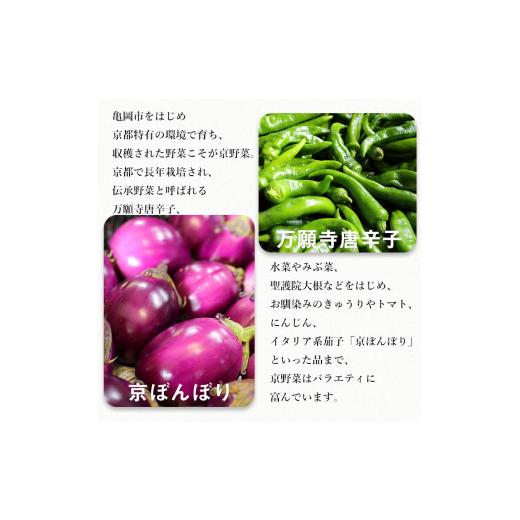 ふるさと納税 京都府 亀岡市 旬の京野菜 毎月お届けレギュラーコース（全12回）＆『葉酸たまご』6個入り×1パック×3回分付 ※沖縄・離島・諸島…