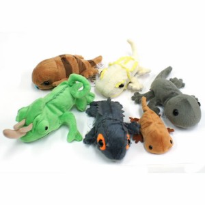 リトルビーンズ Reptiles Little Beans ぬいぐるみ トカゲ カメレオン ヤモリ サンショウウオ Tst 通販 Lineポイント最大5 0 Get Lineショッピング